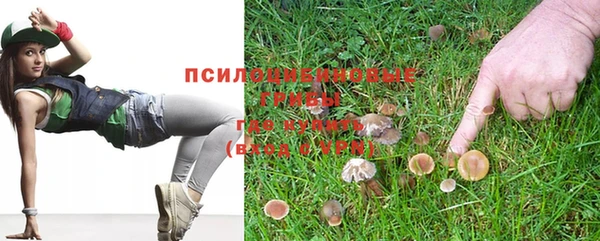 мескалин Белокуриха