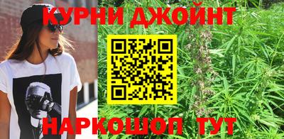 гидра Лесосибирск
