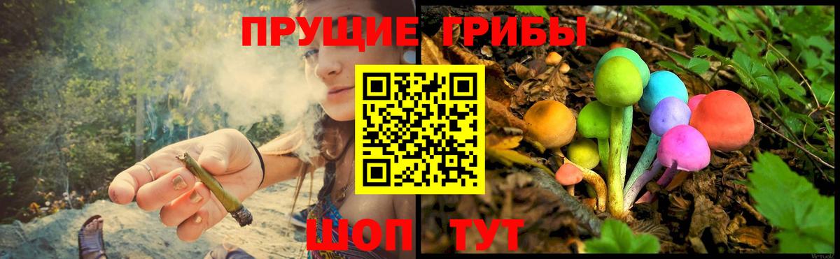 Галлюциногенные грибы MAGIC MUSHROOMS Славгород