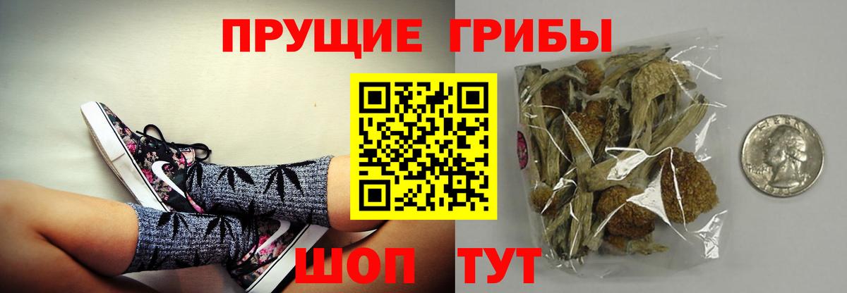 Галлюциногенные грибы прущие грибы  Вход с VPN  Славгород 
